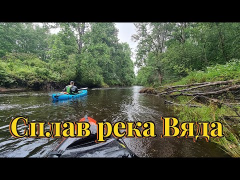 Видео: Сплав река Вяда Фото под музыку(Анонс)