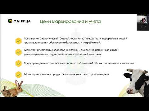 Видео: Вебинар "1С:Обмен данными с Хорриот"