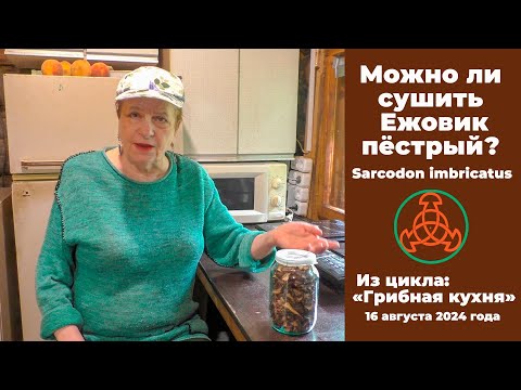 Видео: Можно ли сушить Ежовик пёстрый -  Sarcodon imbricatus? Проверяем вкус.