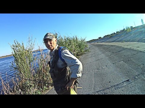 Видео: Разговор с продвинутым дедушкой. Рыбалка на спиннинг в черте города