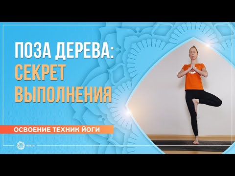 Видео: Поза дерева - врикшасана техника выполнения для начинающих. Екатерина Андросова