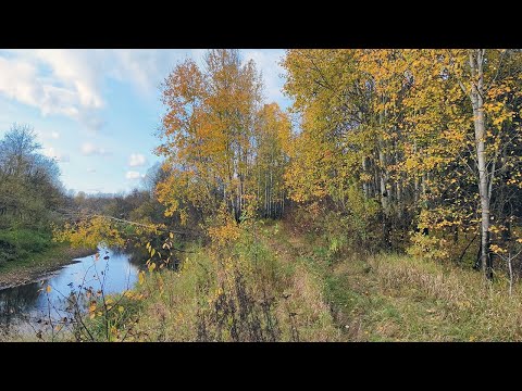 Видео: Первый осенний налим. Рыбалка с ночёвкой на острове, река Вятка.