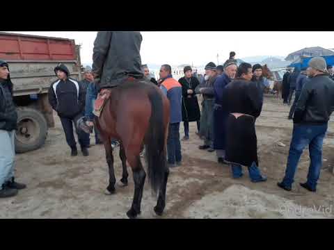 Видео: Молбозори Дангара