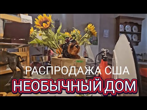 Видео: ❤️‍🔥Распродажа  в Необычном Доме!