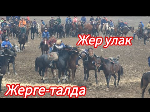 Видео: Жерге-талда жер улак