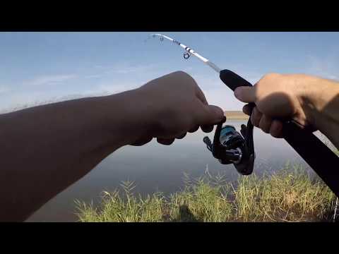 Видео: Осенняя Рыбалка. Ставропольский край