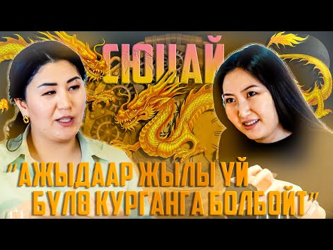 Видео: Толкунай Мамытова, сюцайчы: “Балык жылы кредит алганга болбойт”