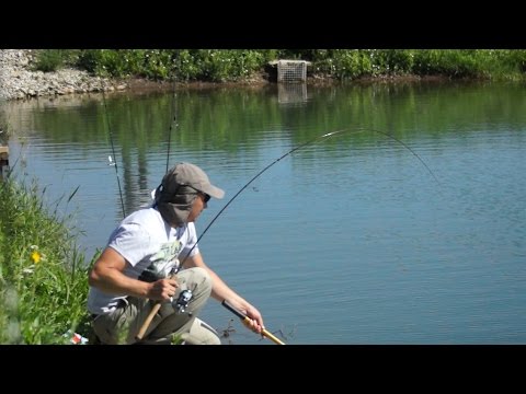 Видео: Спиннинг для форели Area Fishing Как выбрать спиннинг для ловли форели для начинающих