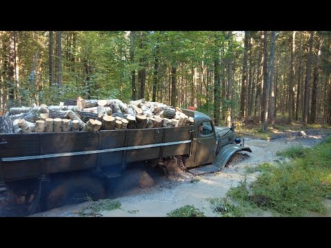 Видео: Вывозим дрова с делянки на ЗиЛ-157!!! Впереди жесткое бездорожье но мы не сдаемся!!!