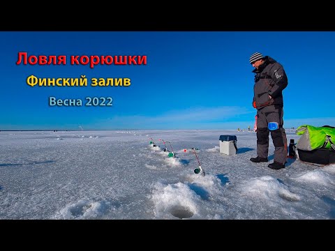 Видео: Ловля корюшки I Финский залив I Шпунты I Весна 2022 ( ice fishing for smelt in the Gulf of Finland )