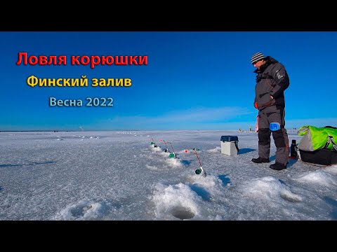 Видео: Ловля корюшки I Финский залив I Шпунты I Весна 2022 ( ice fishing for smelt in the Gulf of Finland )