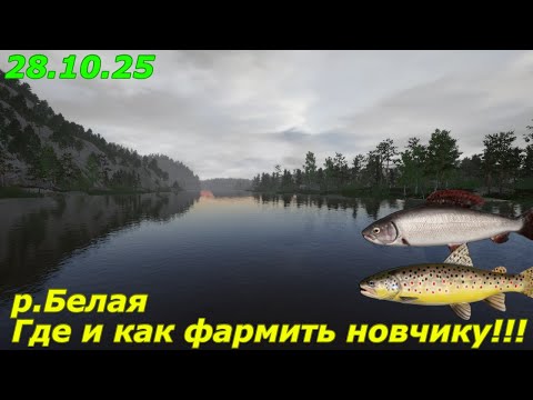 Видео: Где и как фармить новичку на реке Белой | Русская Рыбалка 4