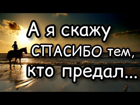 Видео: А я скажу спасибо тем, кто предал...проникновение в душу, стихотворения