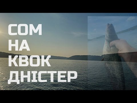 Видео: ЛОВЛЯ СОМА НА КВОК 2023. Рибалка на р.Дністер 2023. Фідер з човна. Частина 1