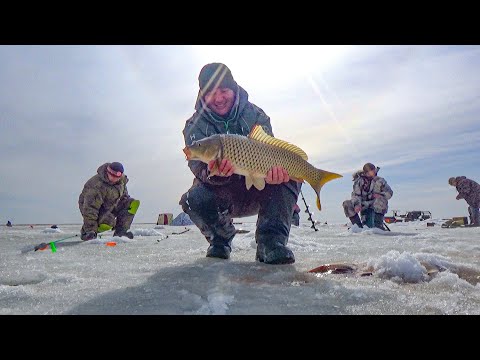 Видео: ТРОФЕЙНЫЕ САЗАНЫ РВУТ ЛЕСКИ И ЛОМАЮТ КРЮЧКИ!!! ВОТ ЭТО РЫБАЛКА!!! Весенняя рыбалка на сазана 2025