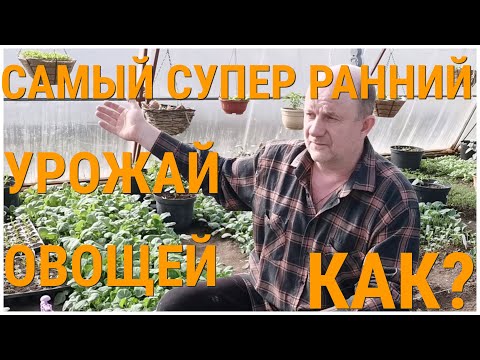 Видео: Как вырастить самый супер ранний урожай овощей. Моя мотивация для ведения Уроков по семеноводству