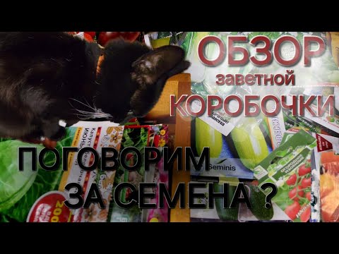 Видео: Заветная коробочка📦/Что в ней?Семена?/Поговорим📡/ОДНА В ДЕРЕВНЕ👱🏼‍♀️