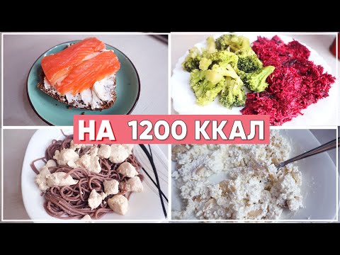 Видео: Мое ПП МЕНЮ на 1200 ккал/ РАЦИОН питания на 1200 ккал! Дневник питания на ПП