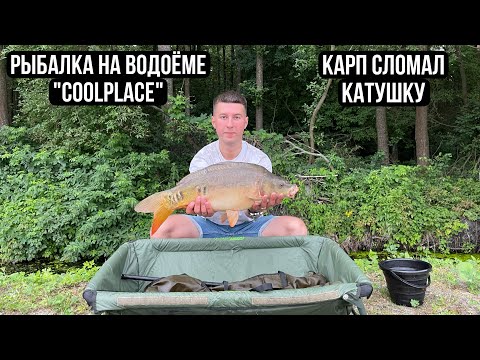 Видео: Карп сломал катушку!Рыбалка под Киевом. Водоём “CoolPlace” Мой трофей 🏆#carpfishing