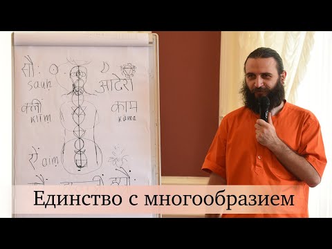 Видео: Единство с многообразием