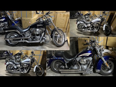Видео: Harley Davidson Впечатления от разных моделей