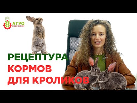 Видео: Рецептура кормов для кроликов. Состав корма для промышленного производства.