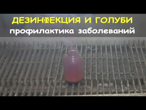 Видео: Дезинфекция. Профилактика "Хрипячки"