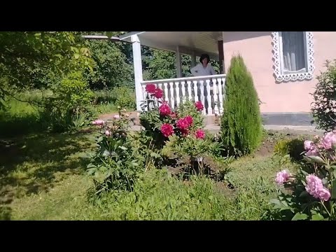 Видео: Юрьев день . Добро пожаловать в гости.