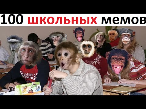Видео: 100 ШКОЛЬНЫХ мемов. Моя школа это психушка
