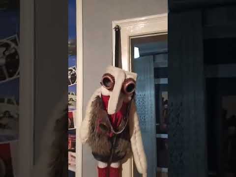 Видео: Квартира группы ШМЕЛИ