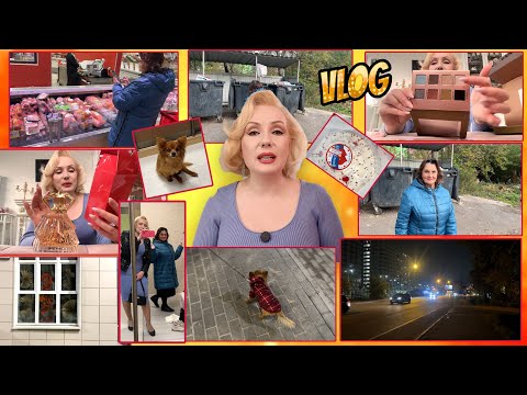 Видео: VLOG: МАМА ПРИЕХАЛА НА МОЙ ДЕНЬ РОЖДЕНИЯ🎉// ПОКУПАЕМ ТОРТ🎂// НОВАЯ СУМОЧКА👜// ЦВЕТИК БУКСУЕТ🐕‍🦺