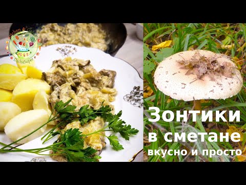 Видео: Зонтики в сметане. Вкусно и просто!