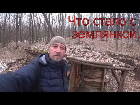Видео: Землянка спустя год. Всё печально! Я не ел шесть дней!