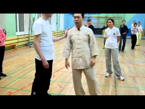 Видео: Ван Лин Тайцзи Ян 24 формы Облачные руки [1]