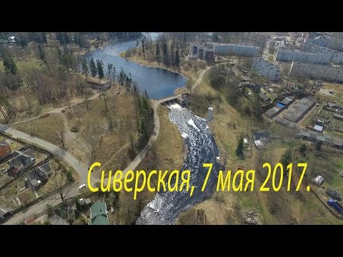Видео: Сиверский, 7 мая 2017.