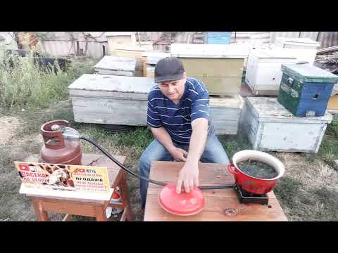 Видео: ЧИСТОТЕЛ ДЛЯ ПЧЁЛ !