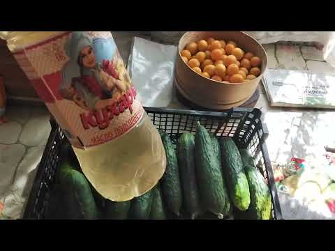 Видео: Не пьют только на небеси, а на Руси кому не поднеси! Дача в Тольятти 03.08.25