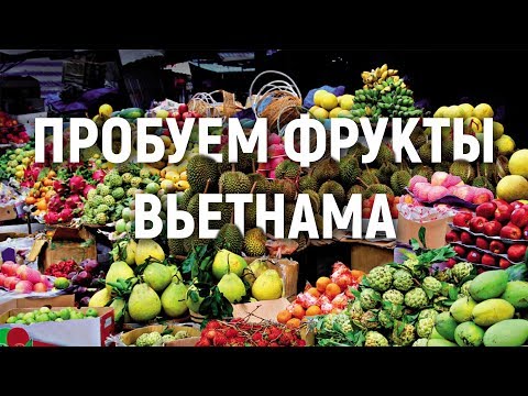 Видео: ЭКЗОТИЧЕСКИЕ ФРУКТЫ В НЯЧАНГЕ | ЦЕНЫ | ПРОБУЕМ ДУРИАН | БЕЗ ПРОПИСКИ