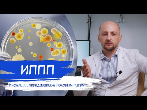 Видео: Инфекции передаваемые половым путем | ИППП