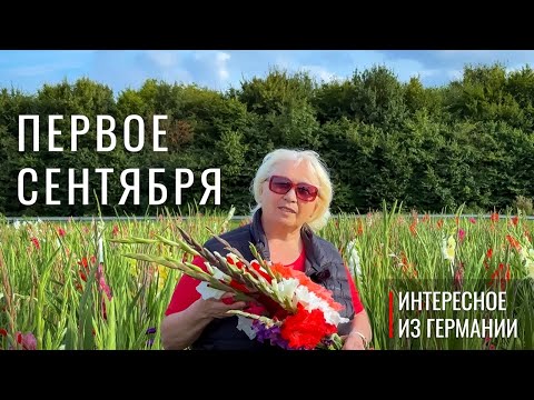 Видео: ОСЕНЬ. 1 СЕНТЯБРЯ! В Германии… непраздничный день?! #светланазименс #германия #школа #цветы #осень