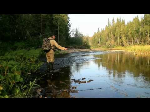 Видео: Северная река Чуть