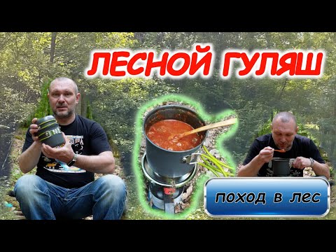 Видео: Поход в немецкий ЛЕС и лесной ГУЛЯШ ! ПОХОД ВЫХОДНОГО ДНЯ ! гуляю, рассказываю, готовлю! РЕЦЕПТ!