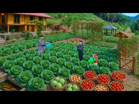 Видео: Как мы зарабатываем на жизнь землейРазведение кур, органический сад и продажа свежих овощей