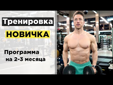Видео: Тренировка для НОВИЧКА в ЗАЛЕ! Программа тренировок на 2-3 месяца