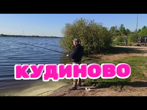 Видео: Едем  на Карьер в Кудиново за Карпом.Рыбалка с сыном.