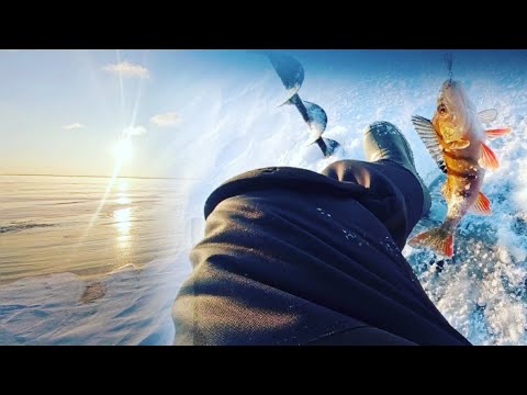 Видео: ЛАДОГА.ДУБНО. ПЕРВАЯ РЫБАЛКА В 2023г.ЛОВИМ ОКУНЯ НА  БЛЕСНУ.