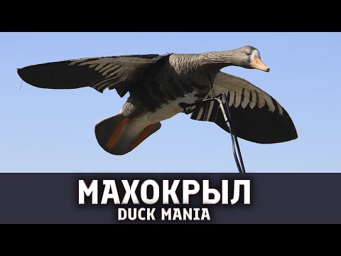 Видео: Махокрыл Duck Mania | весенняя охота на гуся станет интереснее!