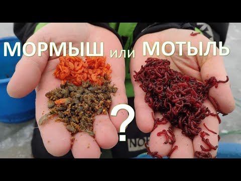 Видео: Мормыш на "Московских" водоемах. Бешенный клев леща.