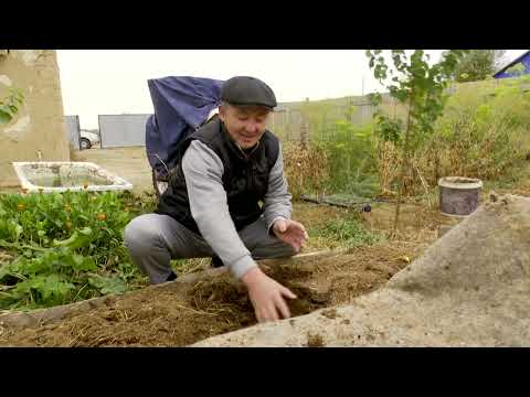 Видео: / Ауылым / 09.11.2025