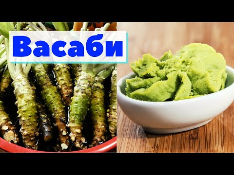 Видео: Васаби | Как это сделано | Wasabi. Japan